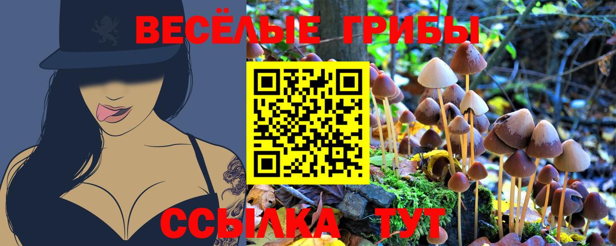 Псилоцибиновые грибы Psilocybe  Вход с VPN  Советский  Галлюциногенные грибы Cubensis 